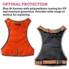 Load image into Gallery viewer, Picture of the outside and inside of a skinny dog safety vest
