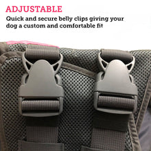 Load image into Gallery viewer, Picture of buckle clips on a dog flotation vest
