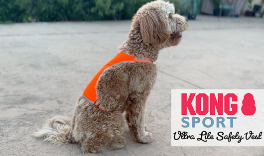 Product overview of an orange safety vest for dogs